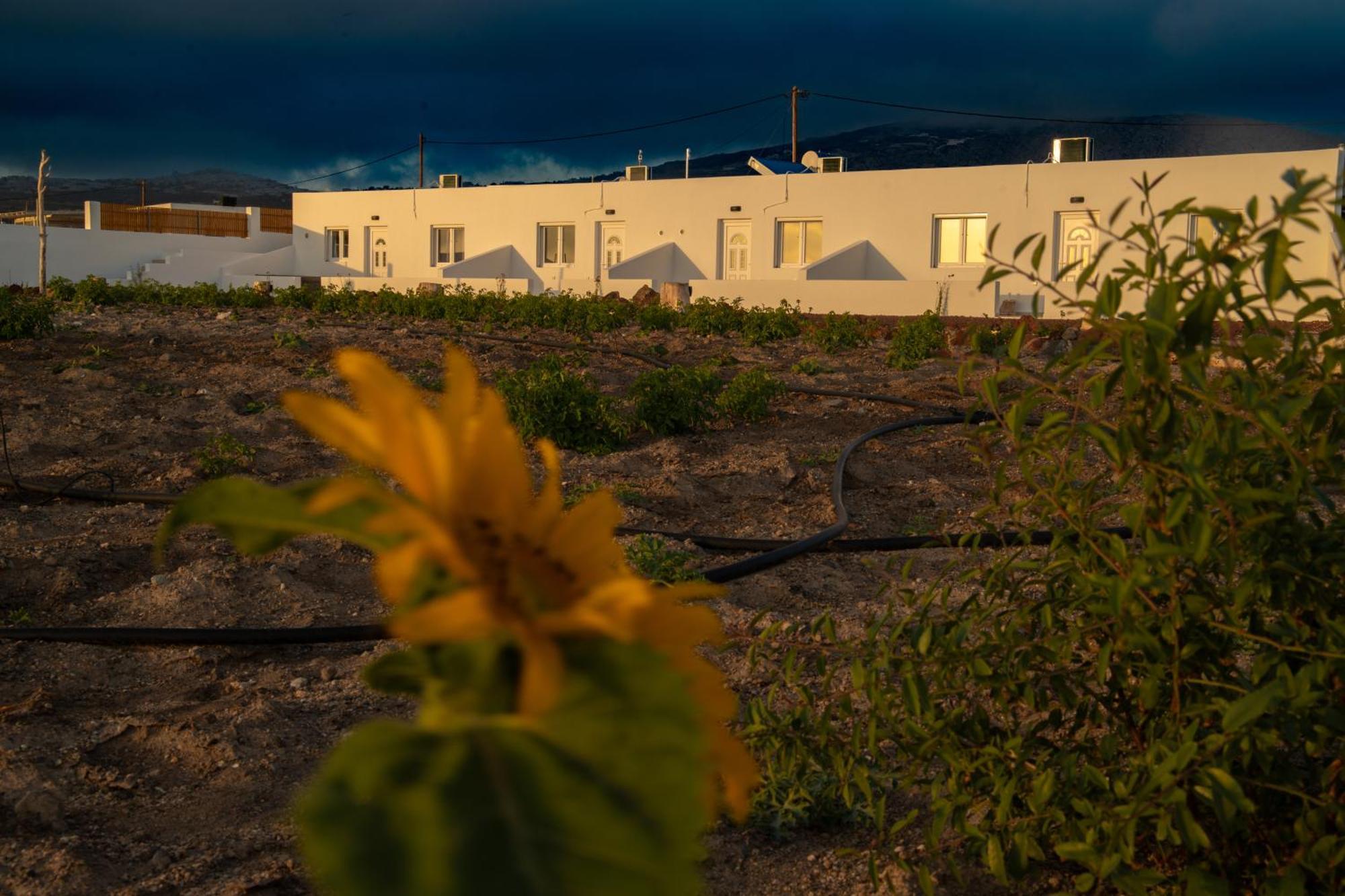 Calma Eco Houses Sunset View Emporio  Eksteriør bilde